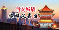 大鸡吧插到大bb网站中国陕西-西安城墙旅游风景区