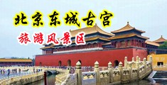 中国男生用大鸡巴操男生网站中国北京-东城古宫旅游风景区